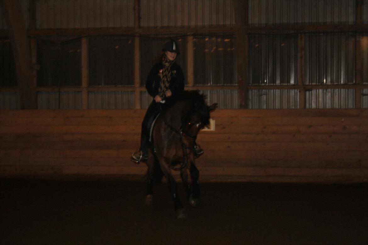 Irsk Sportspony Laney's Max - Ejer på Max(': <3 
- taget af MCL-foto (mig). billede 7