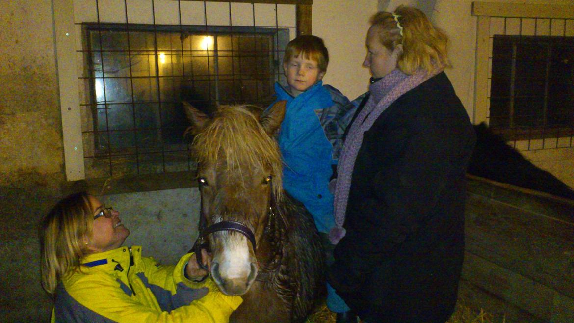 Anden særlig race Ismile billede 4