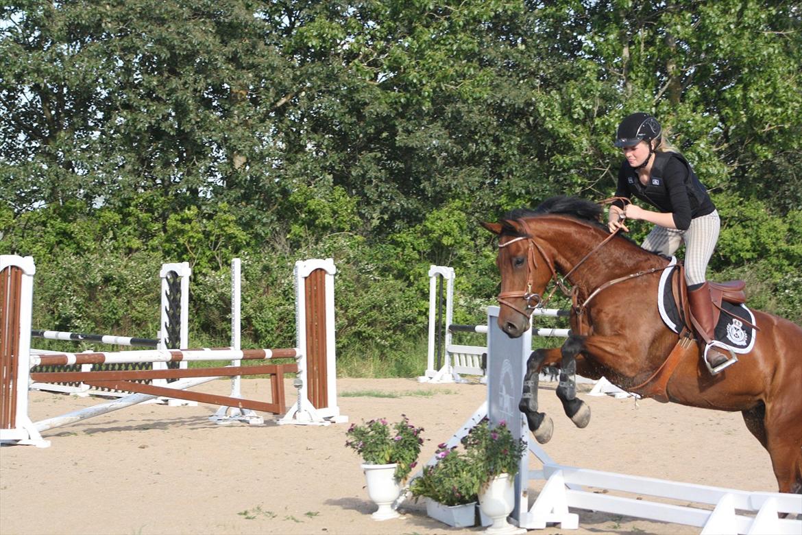 Anden særlig race Kyara *SEJE-REJE* - første gang over stor vandgrav :* hun ikke så meget som tøvede på det! <3 billede 8