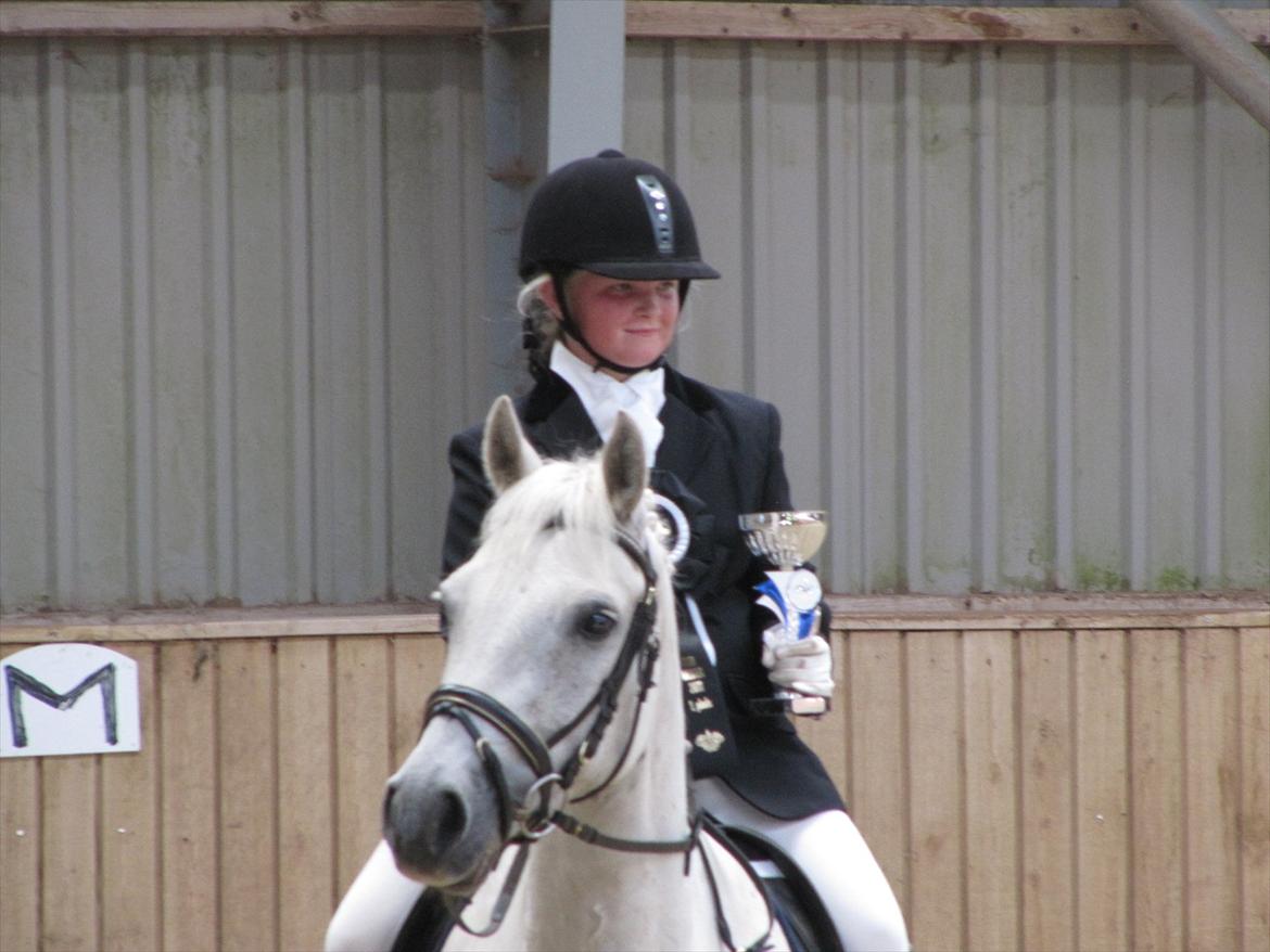 Connemara Solvang's Bastian - Bastian og jeg blev klubmestre 2011 dressur<3 billede 9