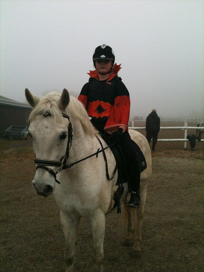 Connemara Solvang's Bastian - Bastian og jeg til Hallowen stævne på stevns rideklub<3 billede 11