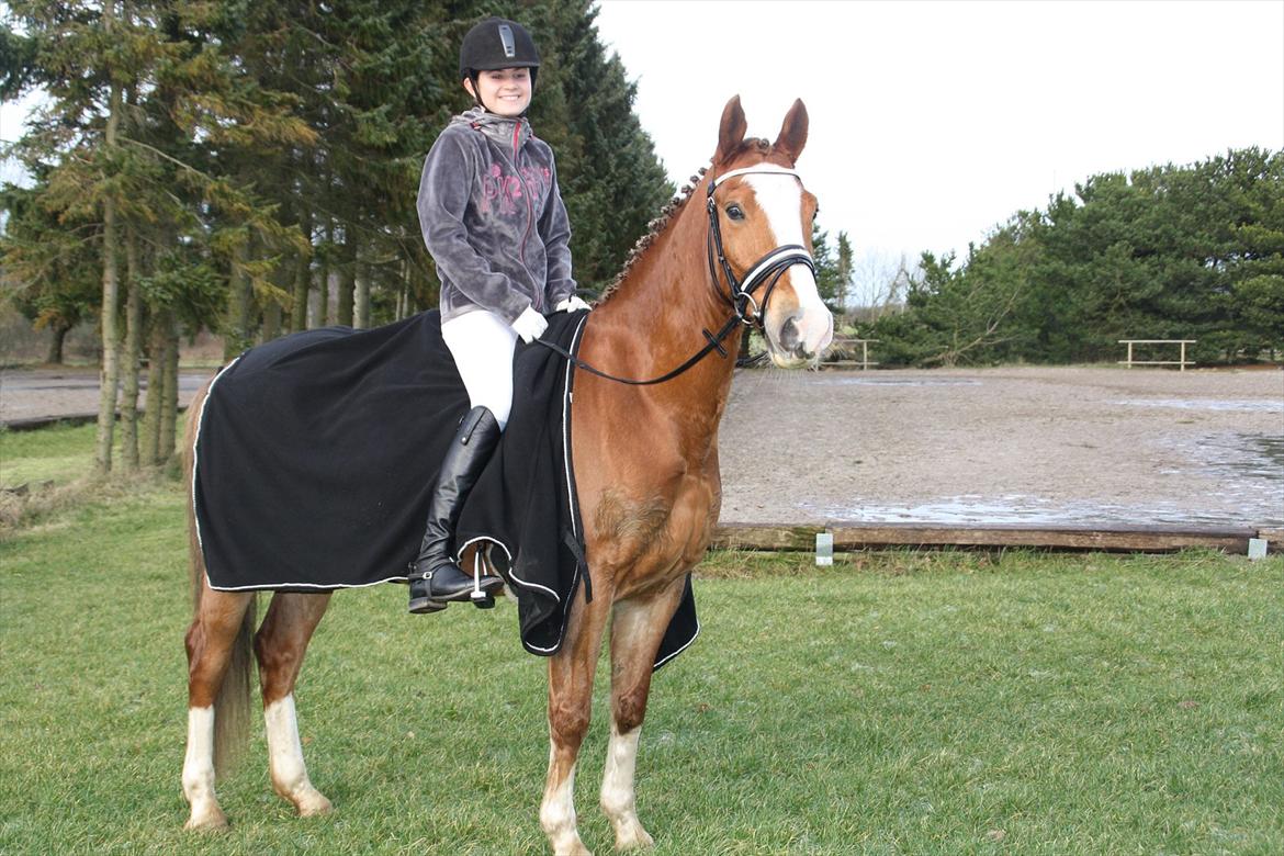 Anden særlig race Pyx Diamond. - Du er den eneste der kan få mig til at smile med tåre i øjene.♥ billede 13