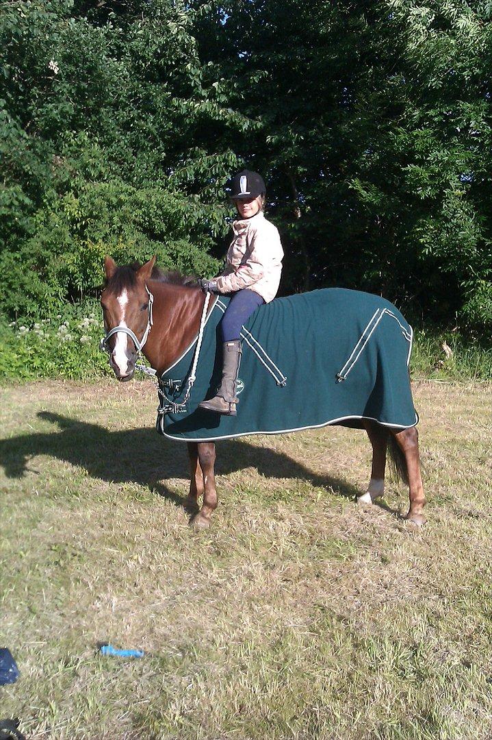 Anden særlig race Agazi <3 billede 14