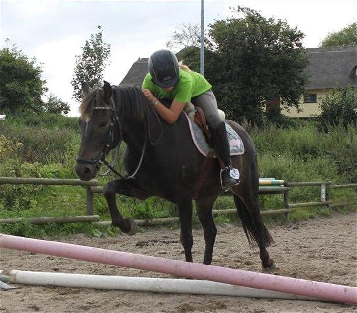 DSP Poseidon's Tempo *Tykke* - Hygge :) billede 2