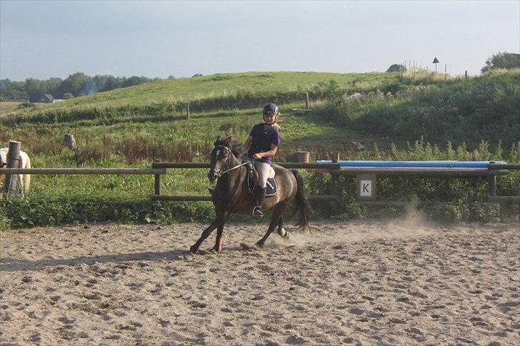 DSP Poseidon's Tempo *Tykke* - På vej mod springet :D billede 3