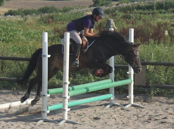 DSP Poseidon's Tempo *Tykke* - Lidt opvarmning :D billede 5