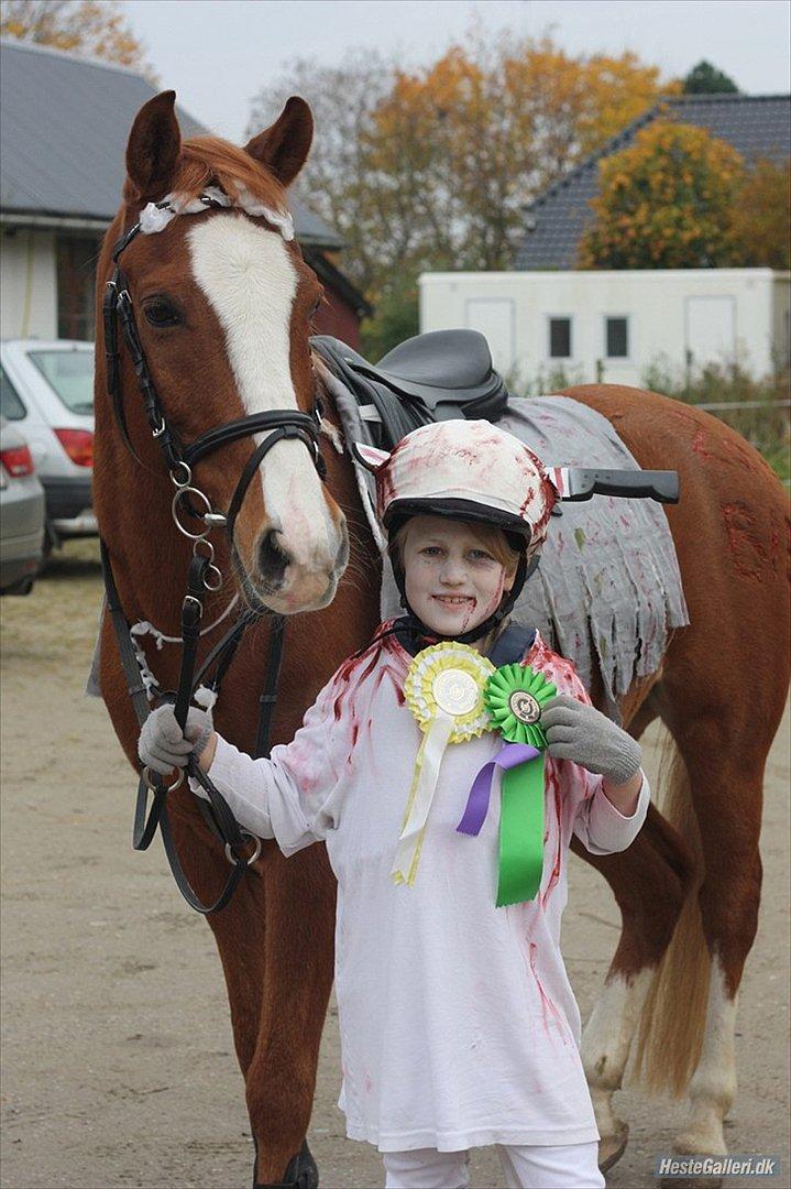 Anden særlig race Passir <3 <3 - Lea og Passir til halloween stævne .
bom på jord og 30 cm begge fejlfrie :-) billede 5