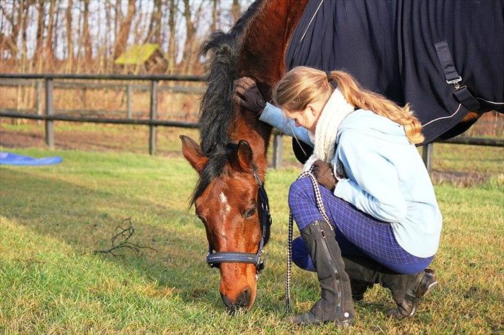 Tysk Sportspony Arking Jump.  - Bullerhesten. - My love to you is a journy, starting at forever, and ending at never.<3 billede 10