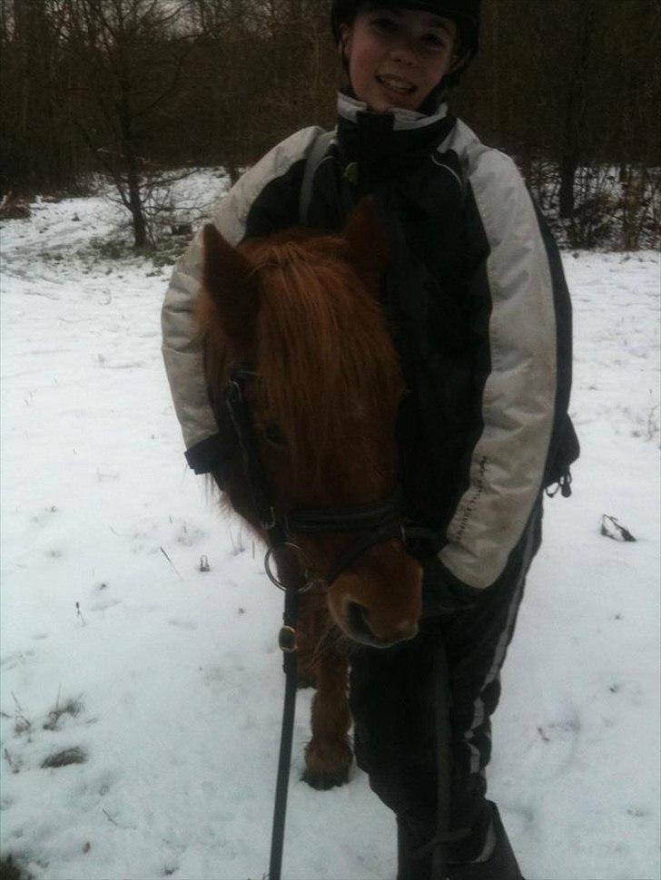 Anden særlig race Laban - Laban i sne humør ;) billede 8