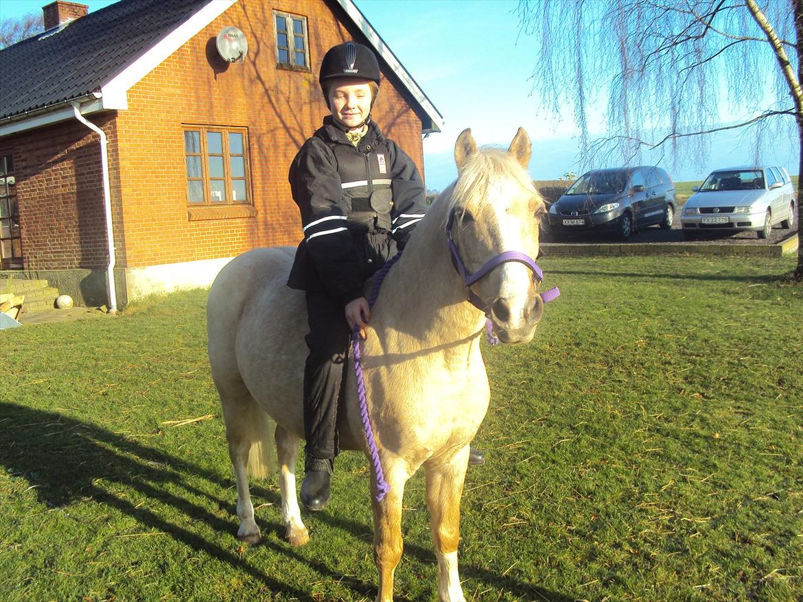 Anden særlig race Jerry. *SOLGT* - En lille tur i haven. billede 12