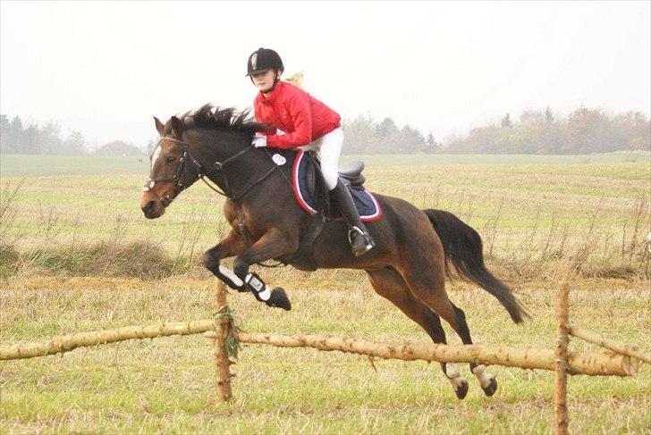 Anden særlig race Florina - hubertusjagt kallehavegaard på florina!  (min første hubertus) 
Men intet kan stoppe hende:
vinder af hubertusjagt 2011 kallehavegaaard pony! <3 ;-*
 billede 7