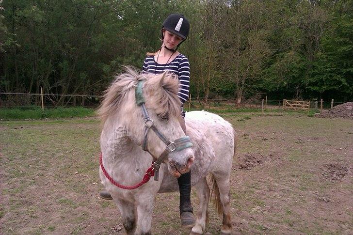 Anden særlig race Bisse † |Elsket & savnet<3| † - Vi stolte 110% på hinanden!<3 billede 1