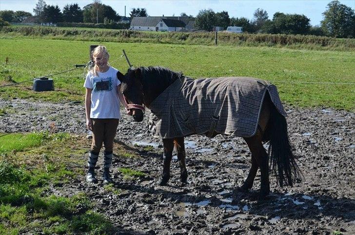 Anden særlig race Zoya - Er på vej ind fra fold med Zoya. billede 1