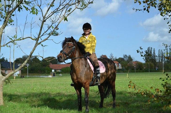 Anden særlig race Zoya - Er oppe i TNKR billede 10