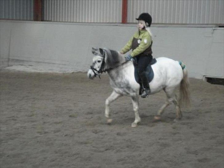 Anden særlig race Plet billede 9