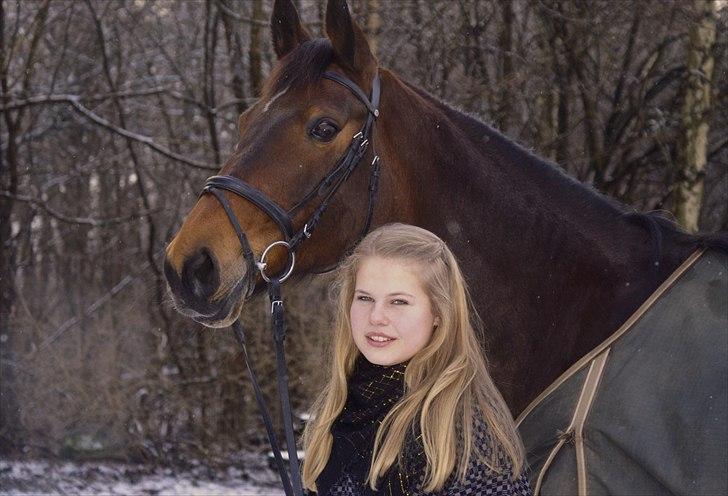 Dansk Varmblod Monopoly - Januar 2012 billede 20