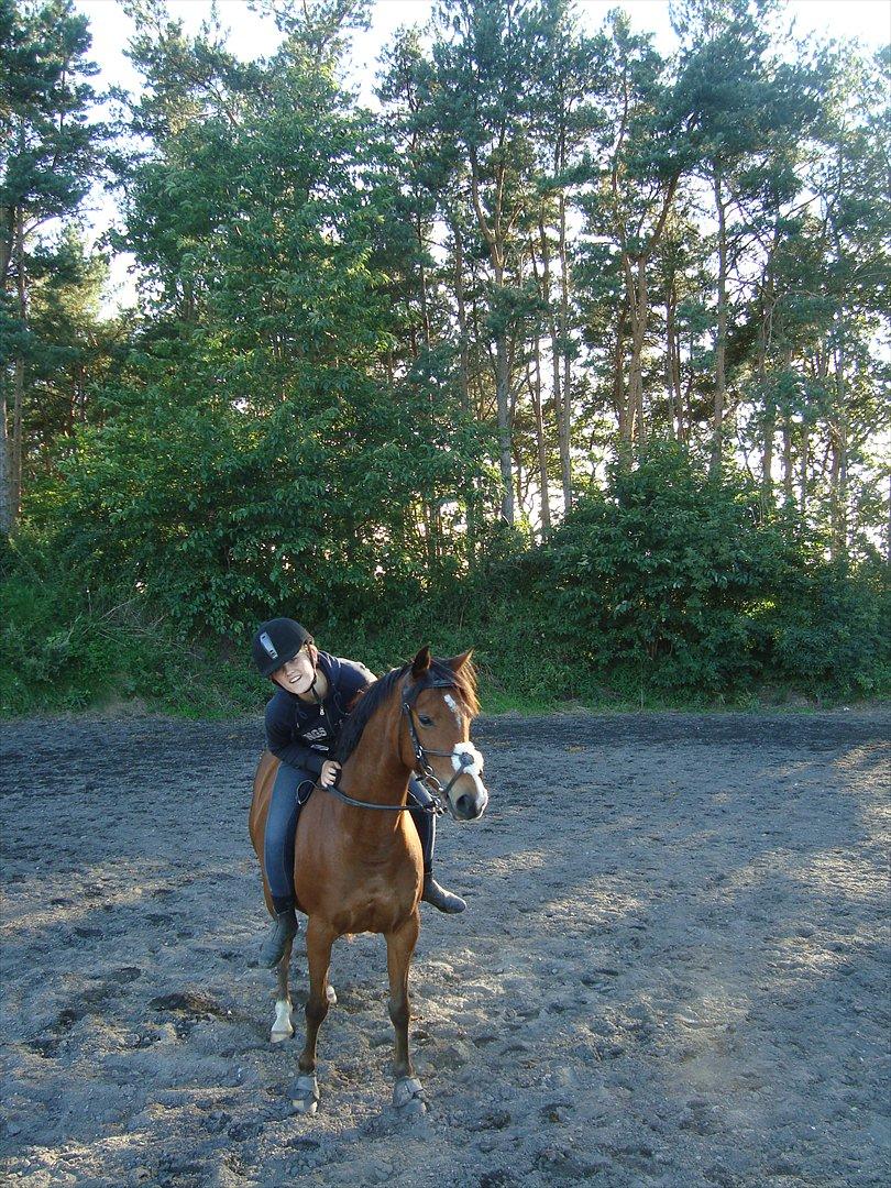 DSP - ELVITA <3 - "Hvis du bad mig råbe ud til hele verden at jeg elsker dig, så ville jeg bare hviske det i dit øre, for du er hele min verden"

1 års dag med verdens bedste pony<3
12/8-2010 - 12/8-2011<3 billede 13