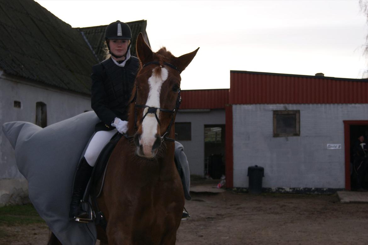 Anden særlig race Aksel<3 billede 1