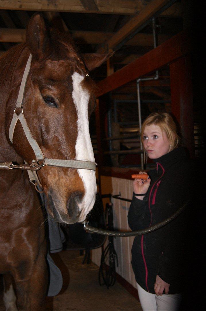 Anden særlig race Aksel<3 billede 4