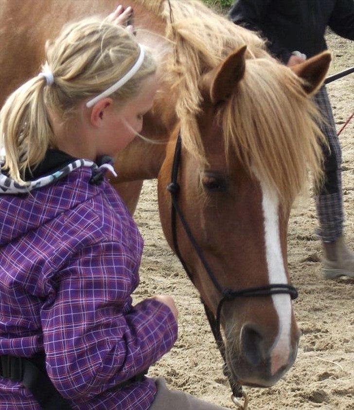 Anden særlig race Maybe Baby - HMS ponylejr Greenhorse 2011 billede 4