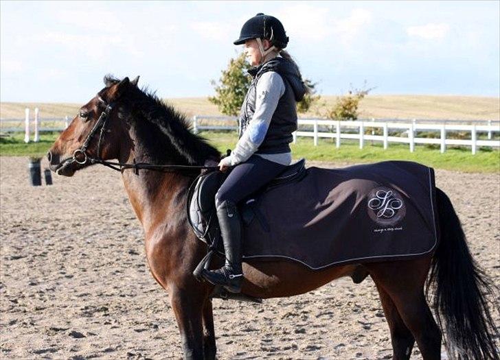 Anden særlig race Huntelaar billede 8