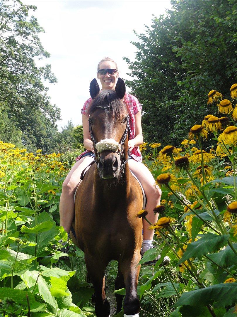 Trakehner Burberry - Anne og Bubbi på tur - Juni 2011 billede 10