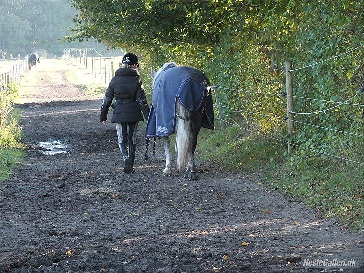 Anden særlig race Miss Perfect *solgt* - Vi siger tak for kigget, skriv meget gerne en kommentar eller kom med en bedømmelse=D billede 18