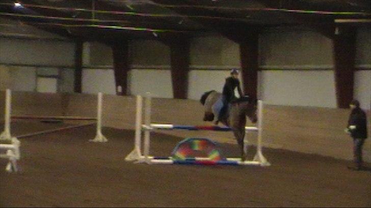 Anden særlig race OZZY - Springe det kan du ihvertfald! :) billede 2