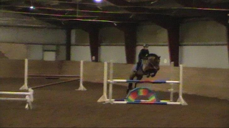 Anden særlig race OZZY - Springe det kan du ihvertfald! :) billede 3