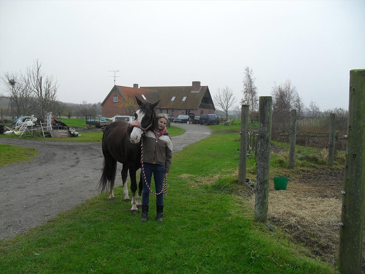 Anden særlig race Chelsey <3 - Da jeg prøvede hende ;D billede 15