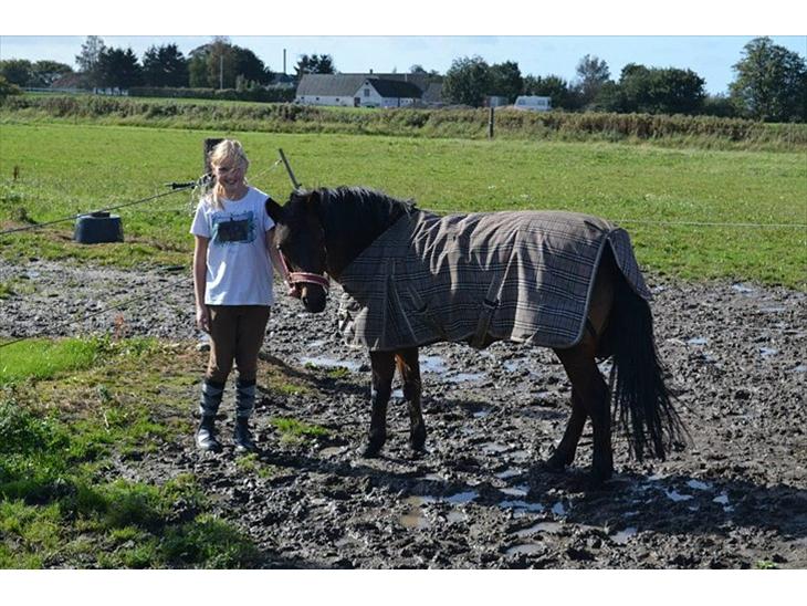 {{currentPhoto.altText}} billede {{currentPhoto.number}}