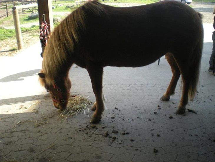 {{currentPhoto.altText}} billede {{currentPhoto.number}}