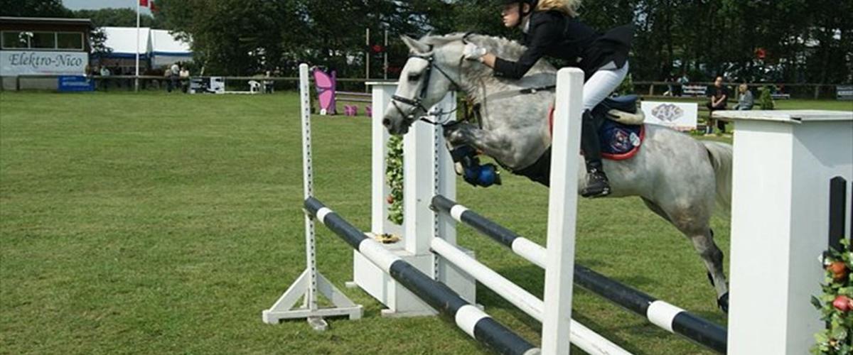 Welsh Pony (sec B) Diablo B-pony /spring Solgt - 2004 - Diablo Er En ...