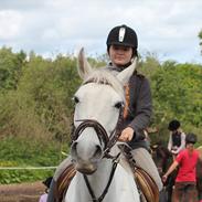 Anden særlig race Ophelia