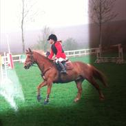 New Forest Mr. Jabidi Hidalgo 