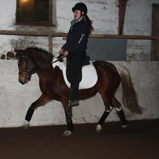 Pinto Spirits Liberty "Følle"