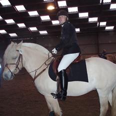 Fjordhest Ingegård's Bea SOLGT