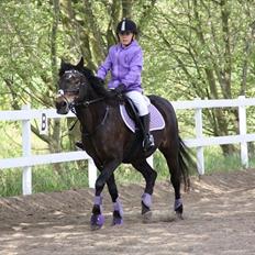 Anden særlig race Moonjam