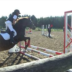 Anden særlig race Moonjam