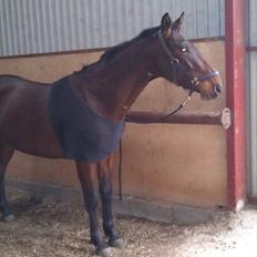 Anden særlig race La,cure <3 Guldklump