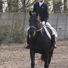 Oldenborg Hr. Lakrids