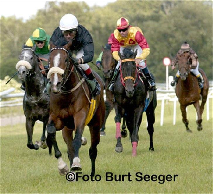 Fuldblod (XX) Ma Dame - Ma Dame vinder løb.. billede 7