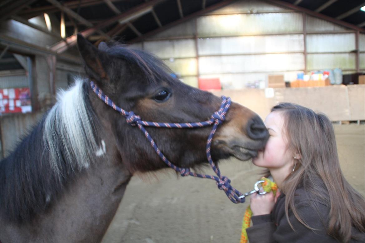 Anden særlig race Balou - Kysse på komando. You are the smile to my lips, the apple to my pie, the thing that completes me.  billede 6