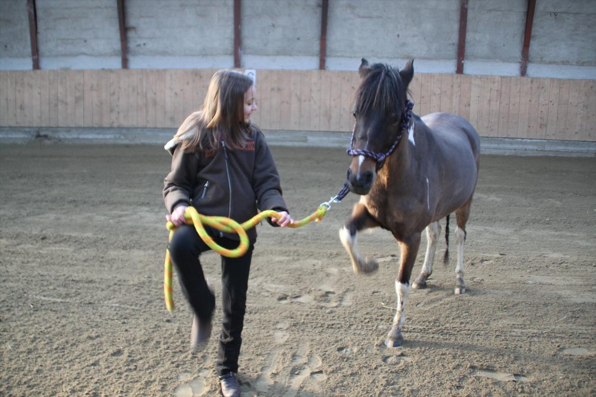 Anden særlig race Balou - Uden dig, ingen mig <3 Løfte ben på komando billede 3