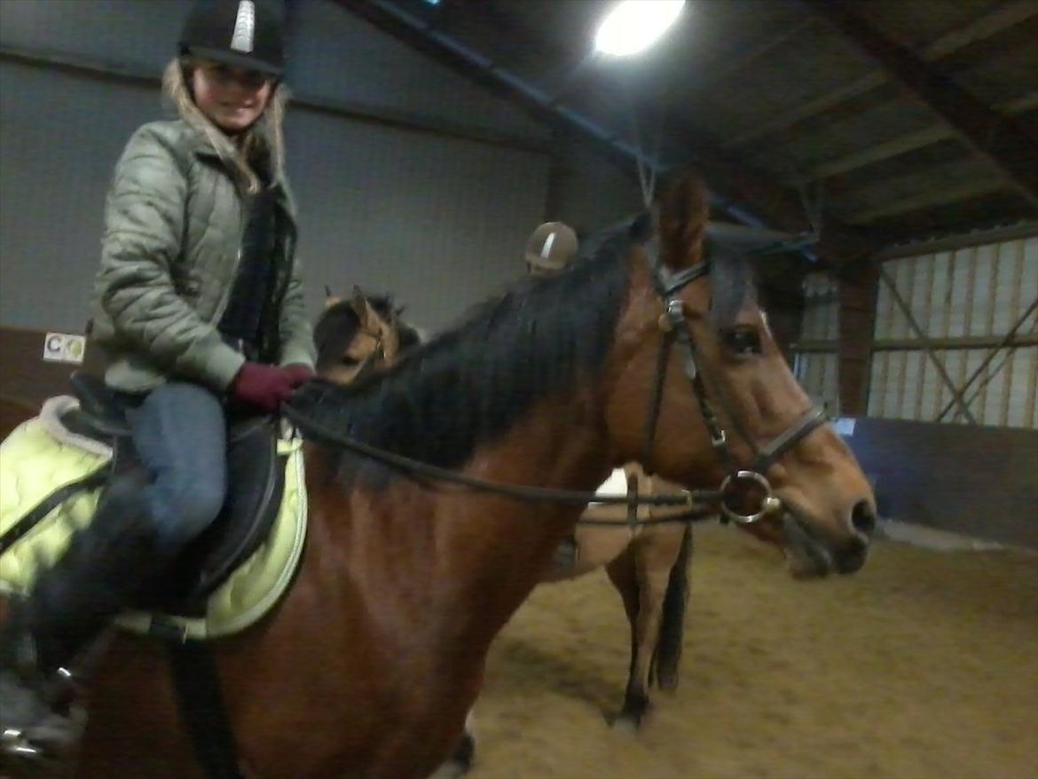 Anden særlig race Yasmin *Spring stjernen* - Mig og Yasmin på ridebanen :) billede 8