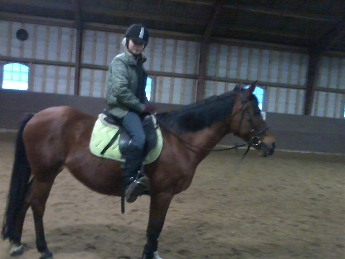 Anden særlig race Yasmin *Spring stjernen* - Her er vi så igen :) billede 9