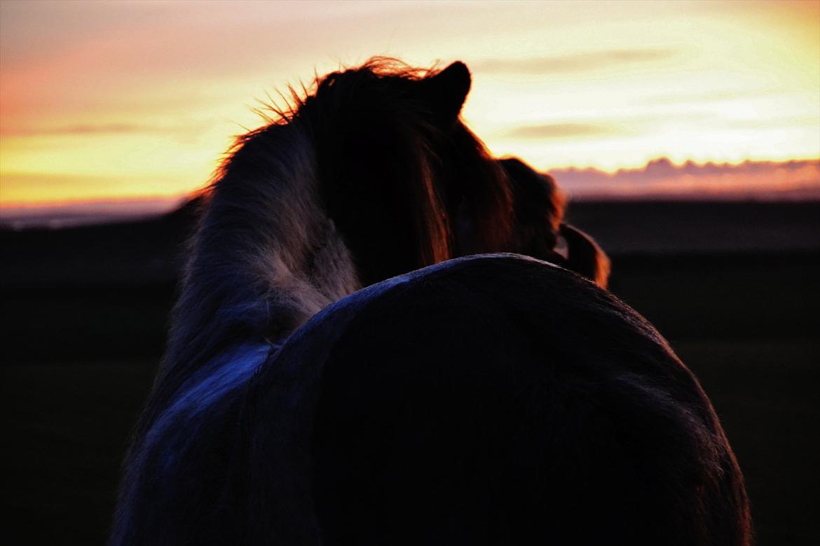 Islænder Hetta fra Toosholm - Nyd hvert øjeblik, før det forsvinder - før det bliver til intet andet, end blot minder. //foto: Nanna. <3 billede 11