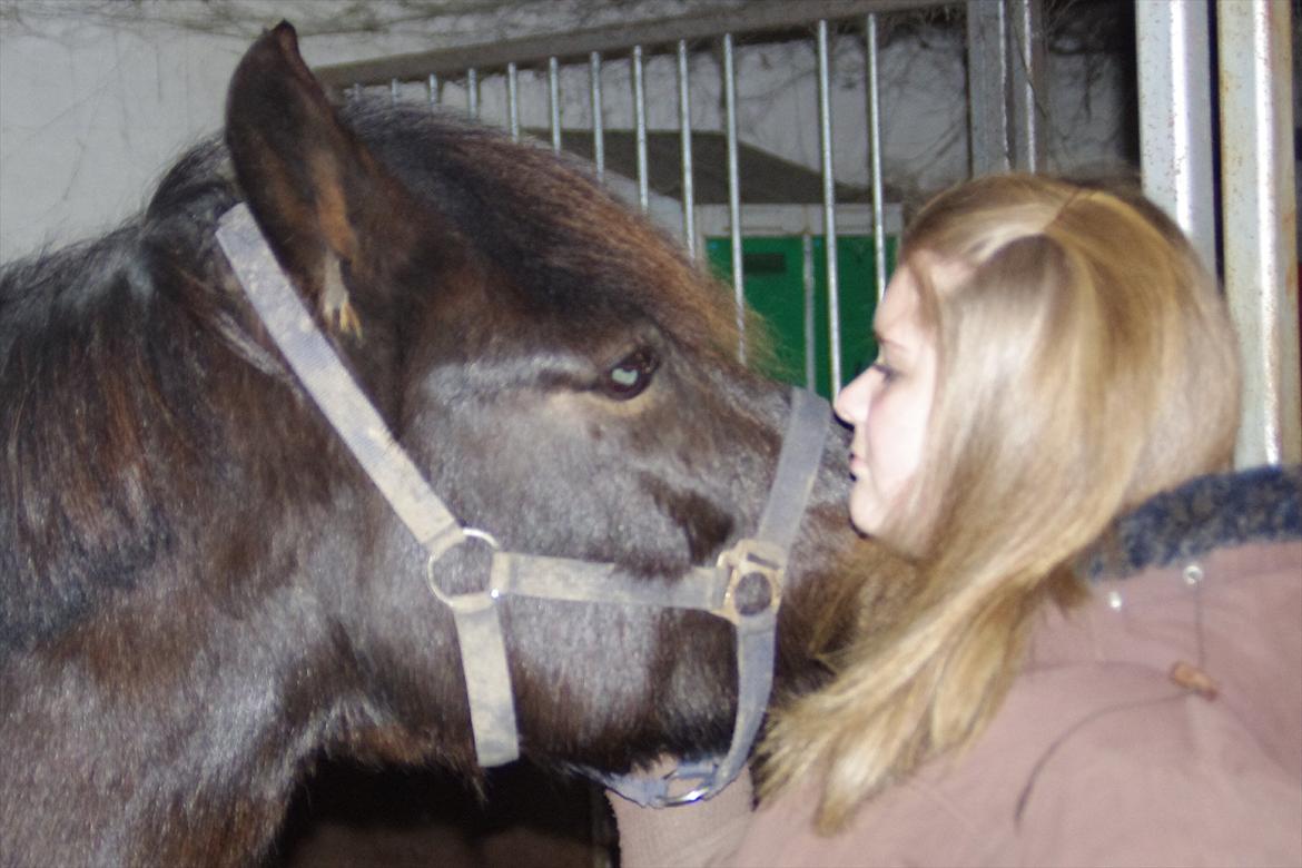 New Forest Elmholts Maritza <3  (Ritten) - Maritza og jeg..   Elsker det billede..<3 billede 8