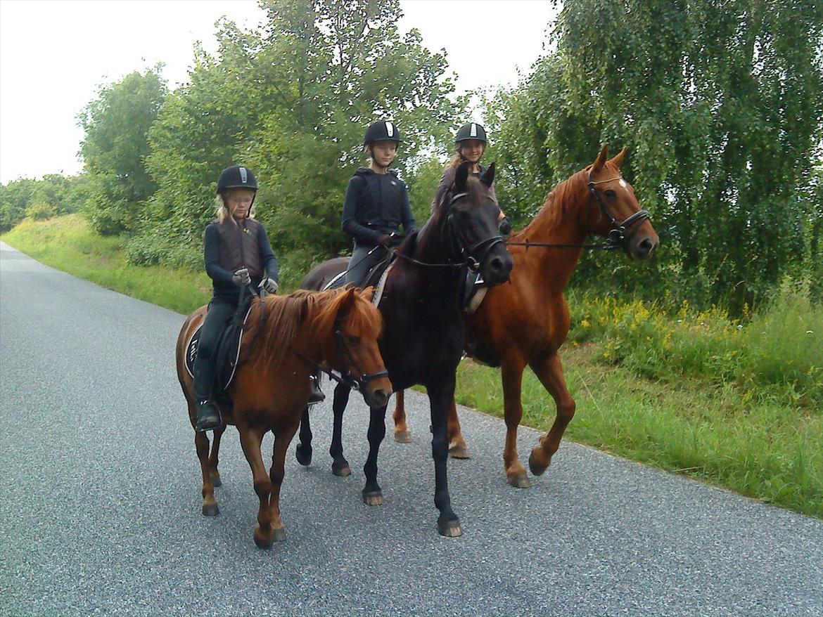 Anden særlig race Feline - Det er Feline og mig til venstre i billedet billede 2