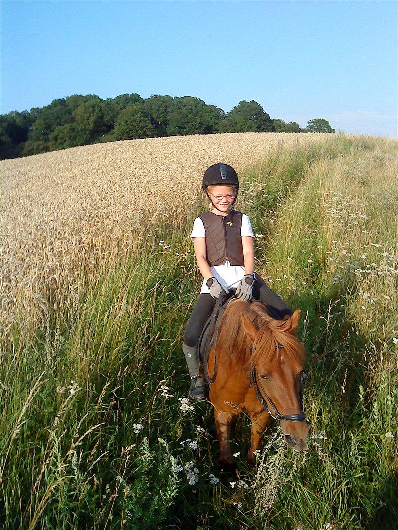 Anden særlig race Feline billede 4